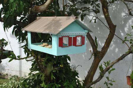 Aconchegante Casa A Poucos Metros Da Da Cachoeira - Norte Da Ilha Casa de férias