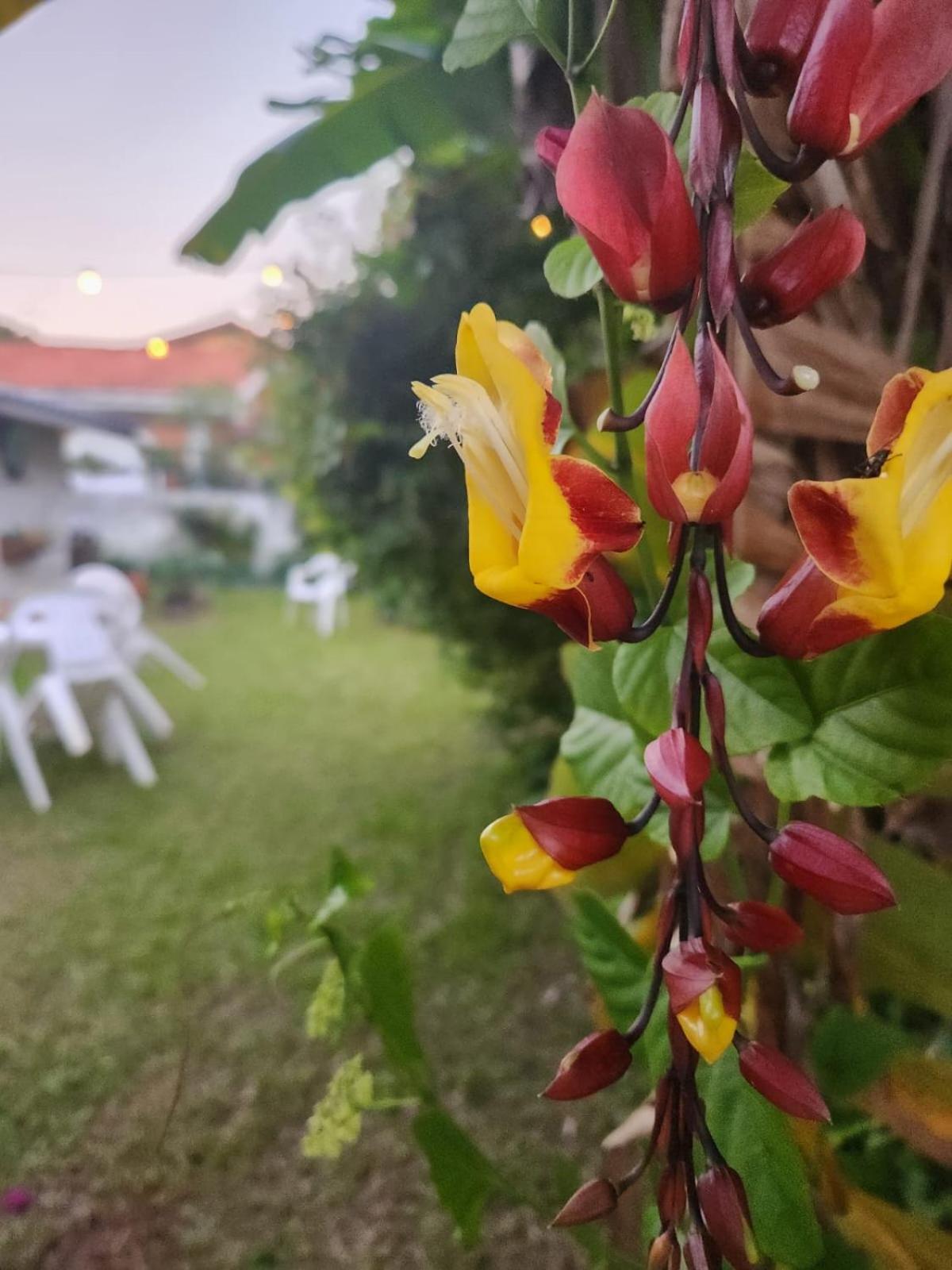 Aconchegante Casa A Poucos Metros Da Da Cachoeira - Norte Da Ilha Casa de férias *
