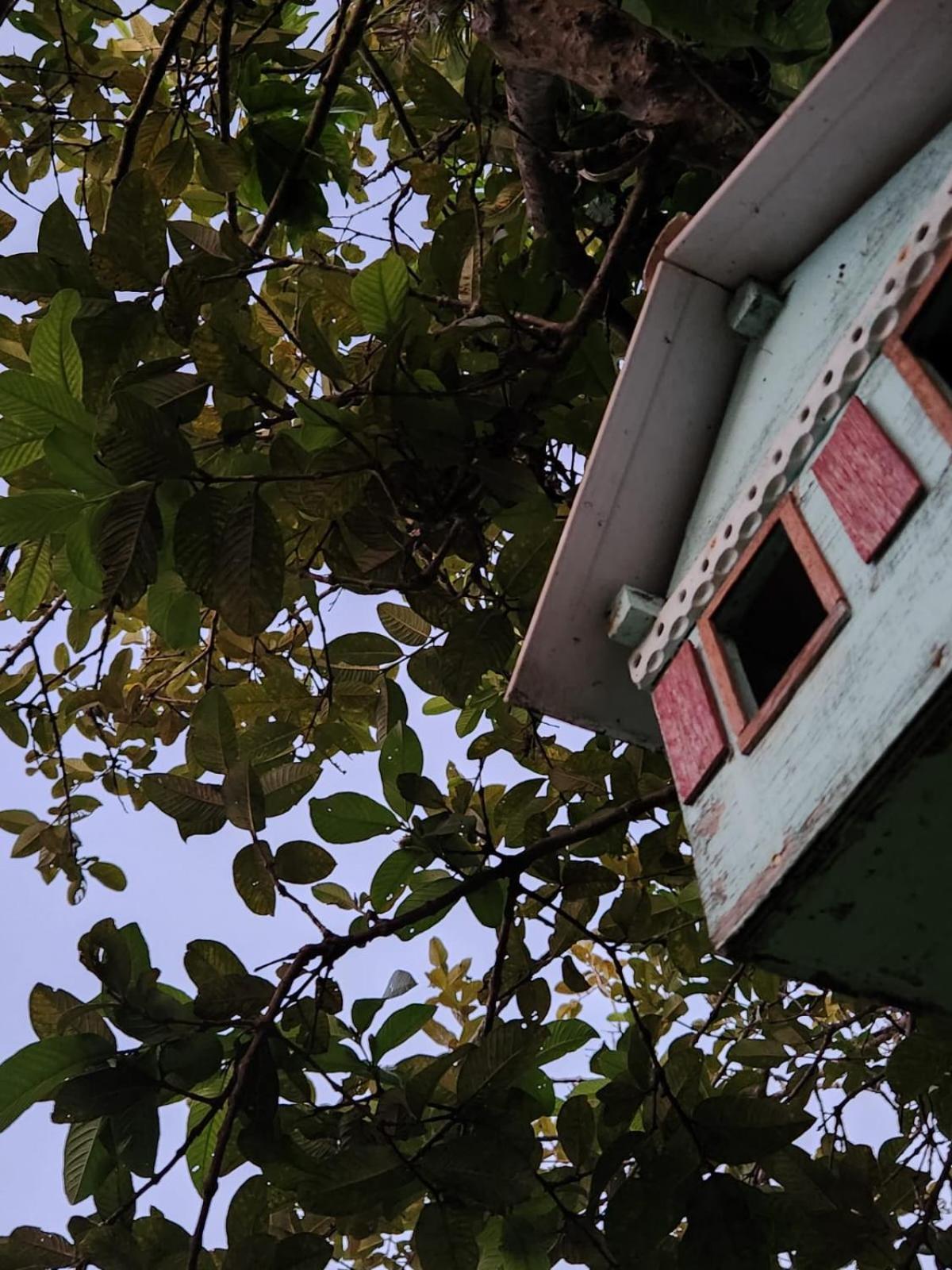 Aconchegante Casa A Poucos Metros Da Da Cachoeira - Norte Da Ilha *